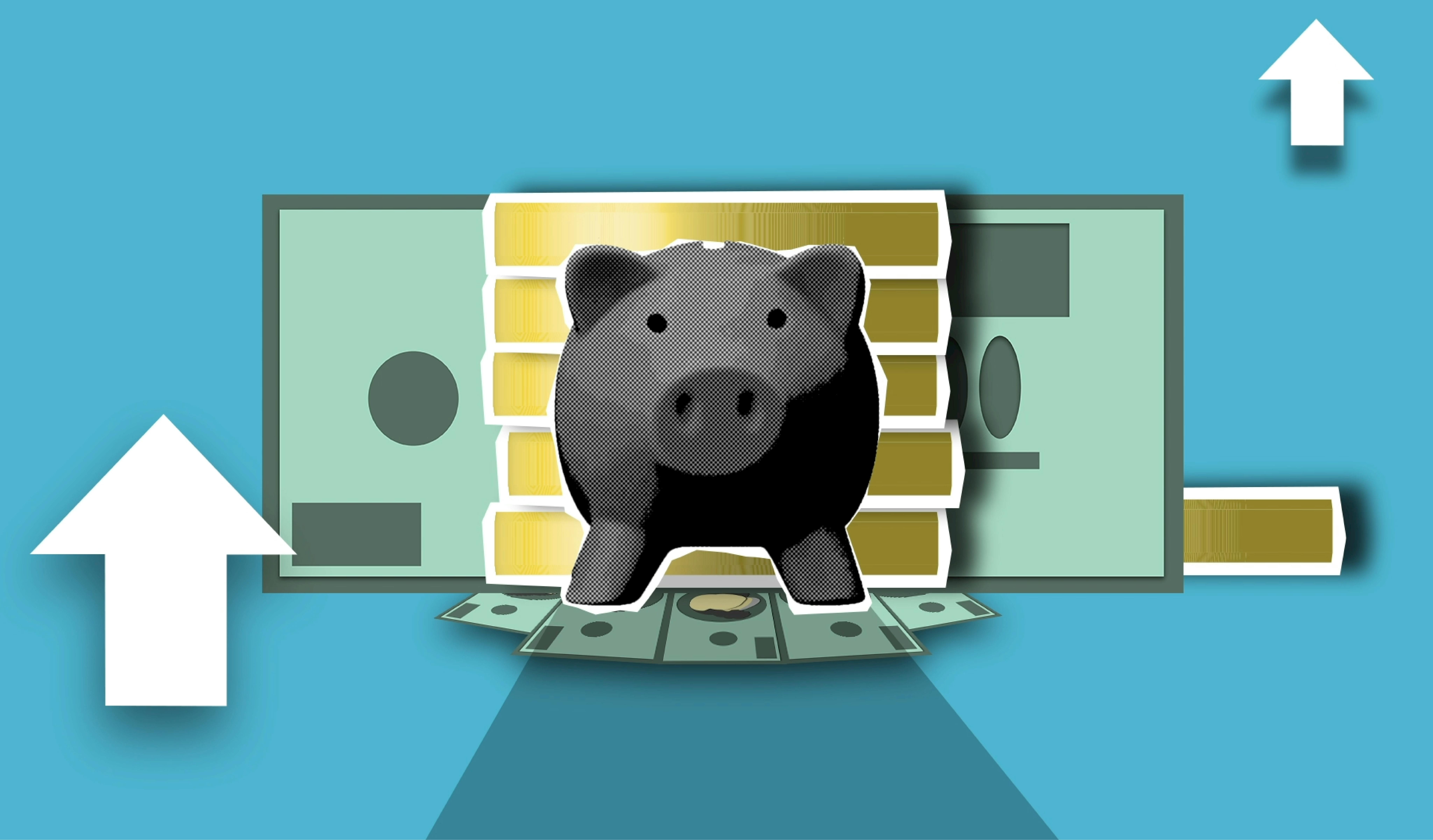 fund management - piggy bank